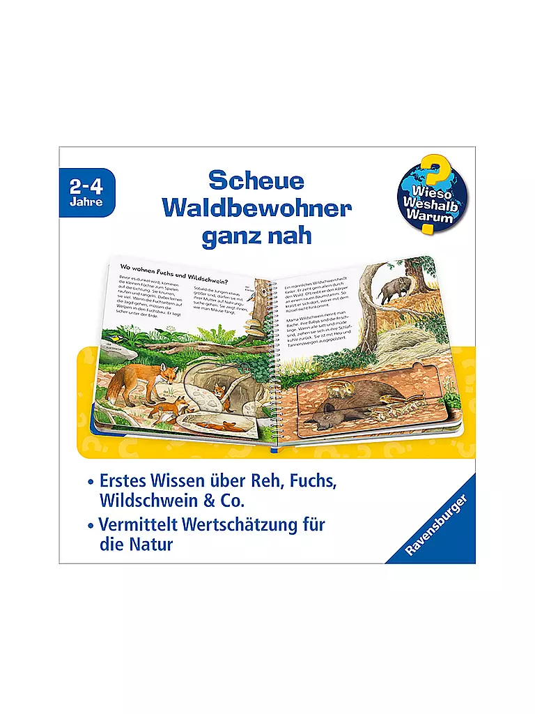 RAVENSBURGER | Buch - Wieso Weshalb Warum Junior - Tiere im Wald, Patrizia Mennen | keine Farbe