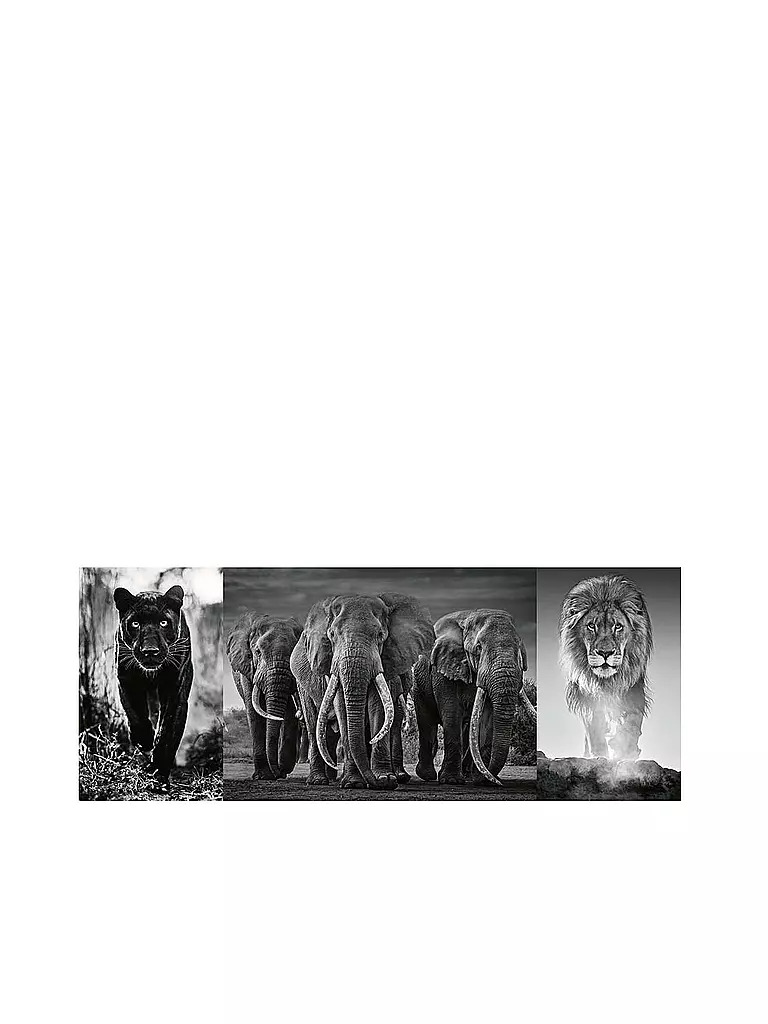 RAVENSBURGER | Puzzle - Panter, Elefanten, Löwe - 1000 Teile | keine Farbe