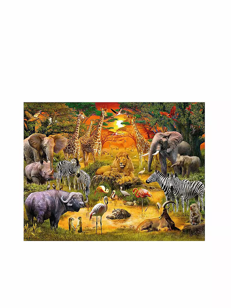 RAVENSBURGER | Puzzle - Versammlung am Wasserloch - 2000 Teile | transparent