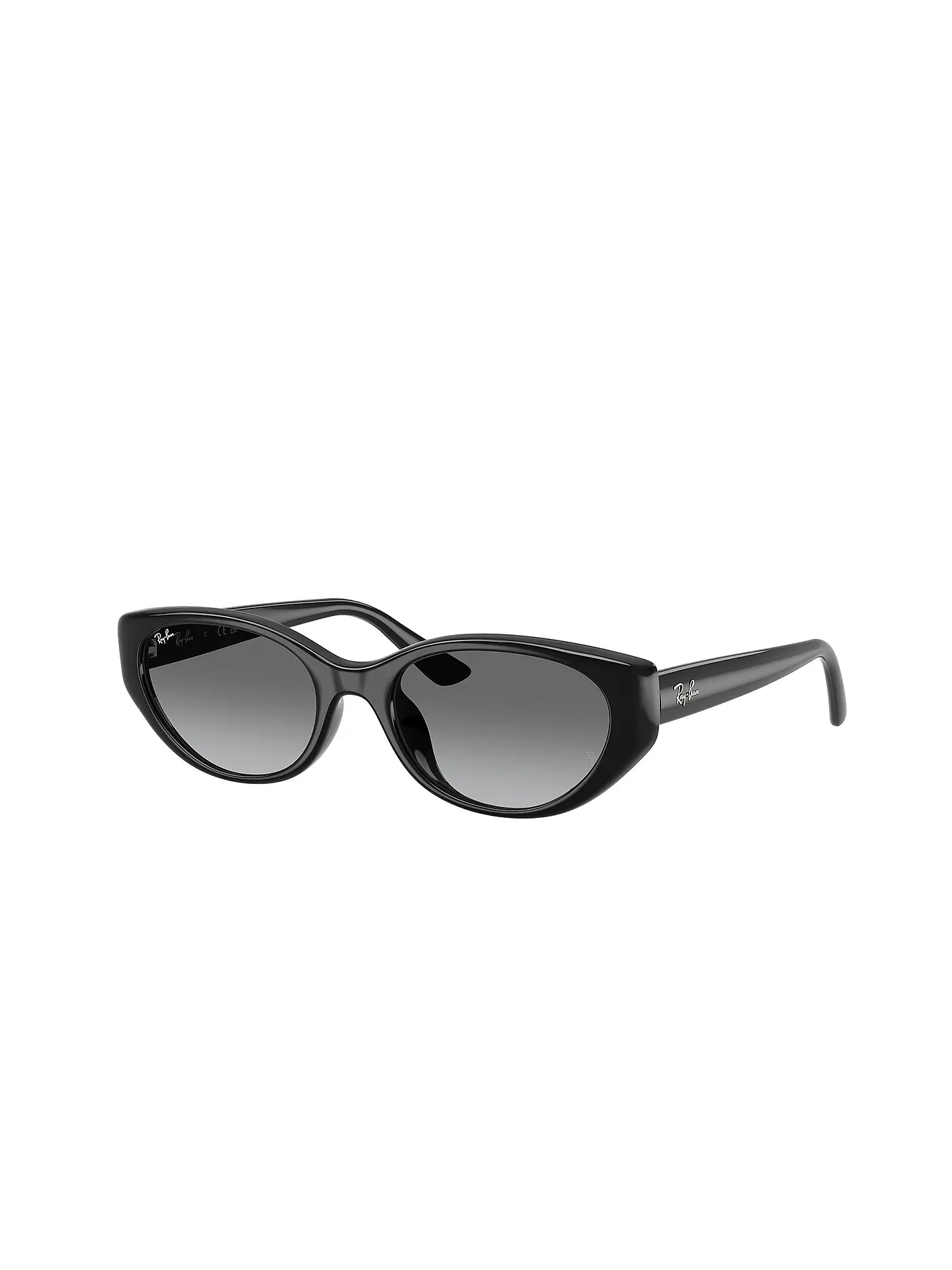 RAY BAN | Sonnenbrille 0RB4457D/55 | schwarz