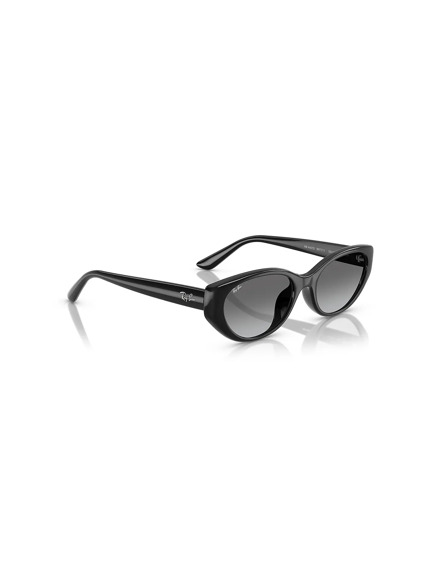 RAY BAN | Sonnenbrille 0RB4457D/55 | schwarz