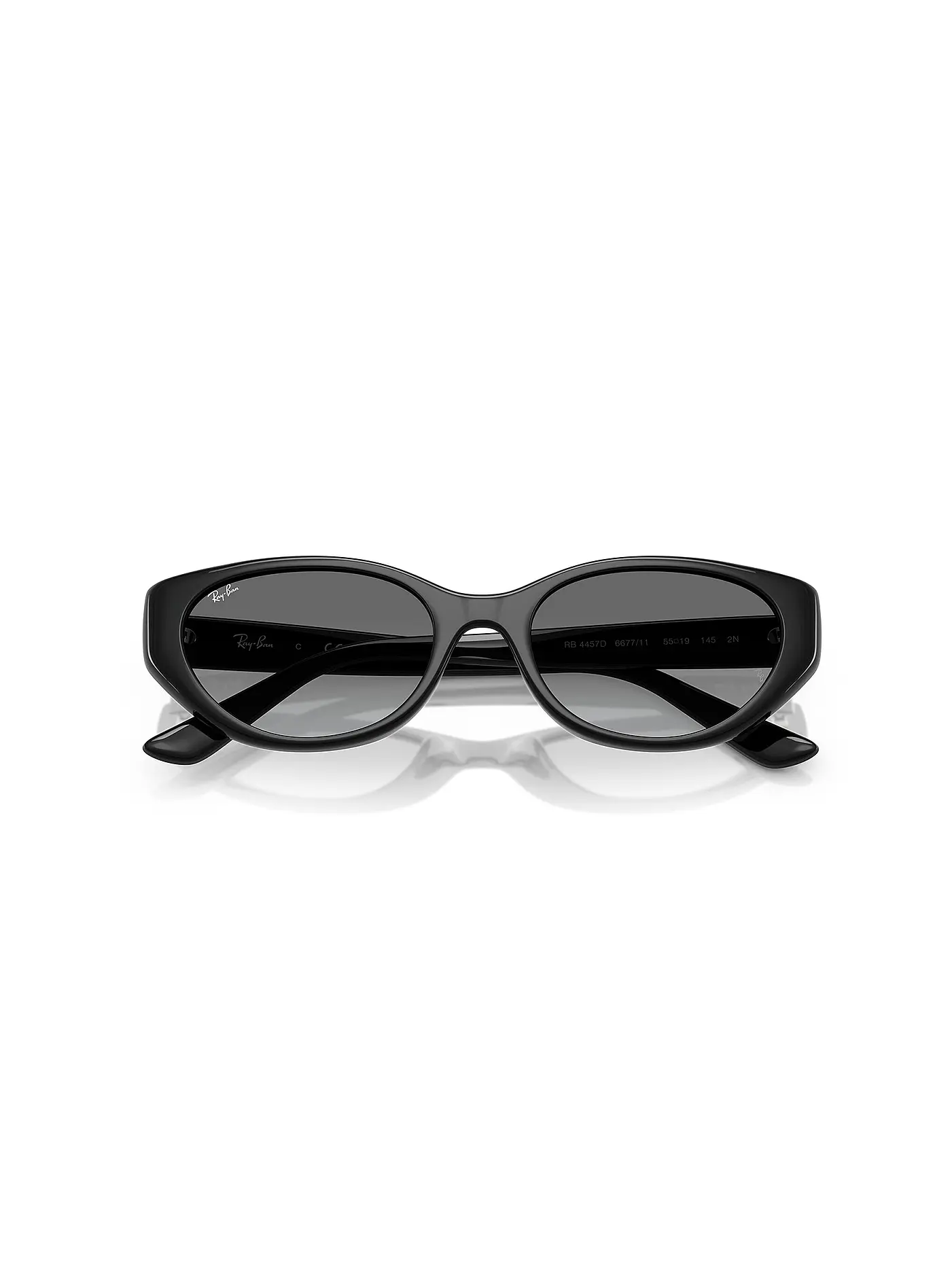 RAY BAN | Sonnenbrille 0RB4457D/55 | schwarz
