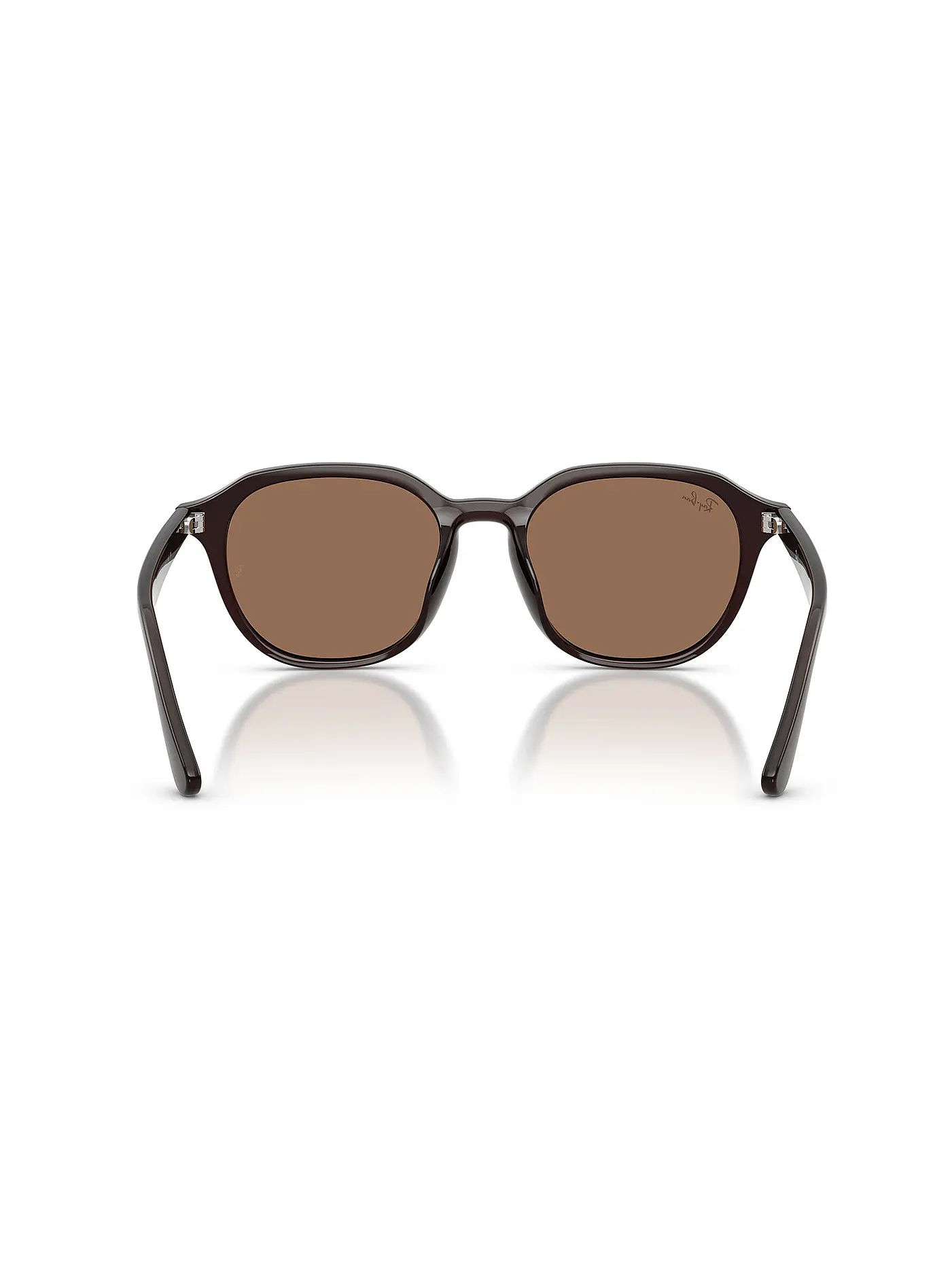 RAY BAN | Sonnenbrille 0RB4459D/54 | braun