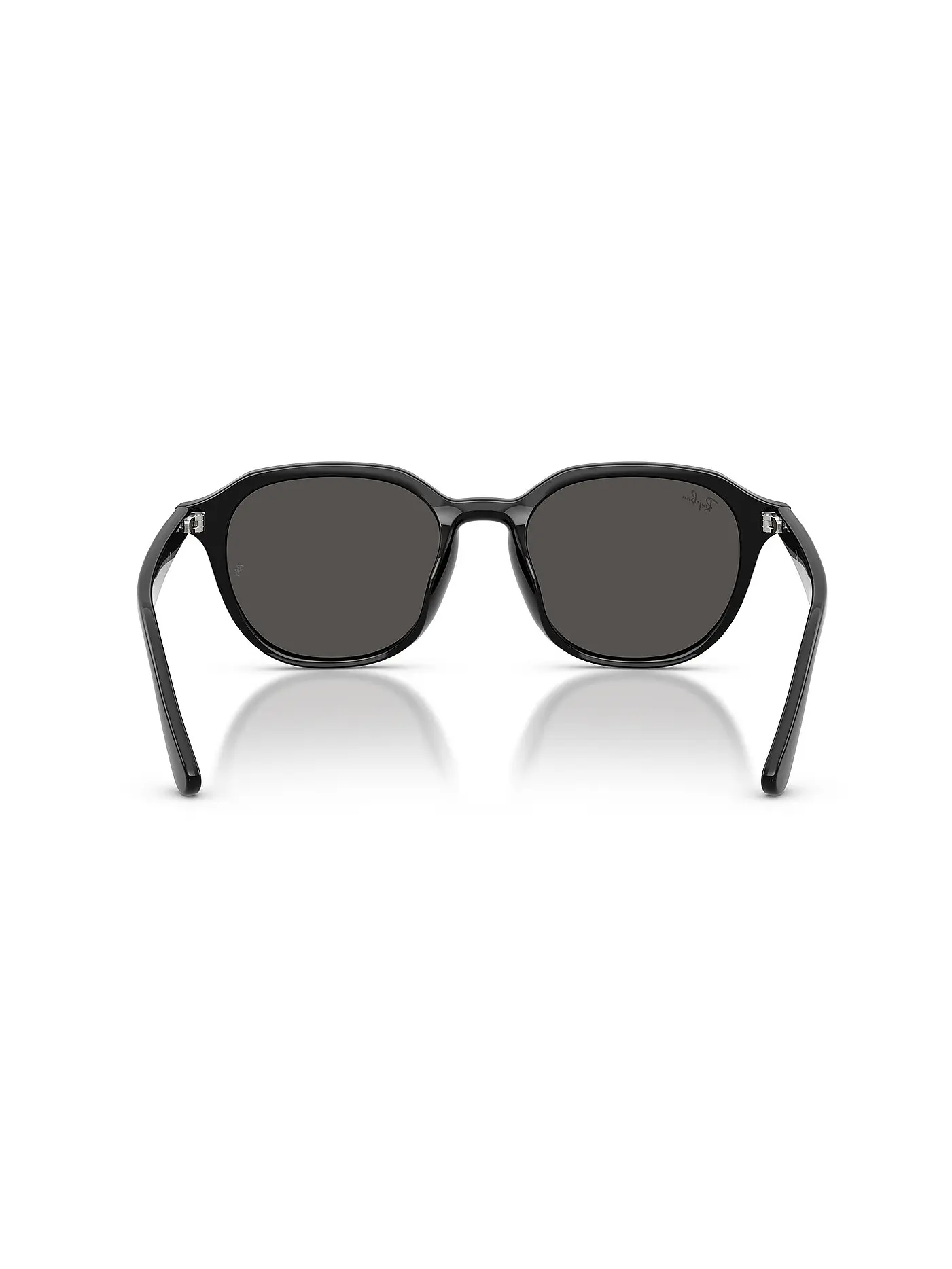 RAY BAN | Sonnenbrille 0RB4459D/54 | schwarz