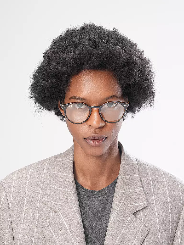 RAY BAN | Sonnenbrille 2180/51 | schwarz