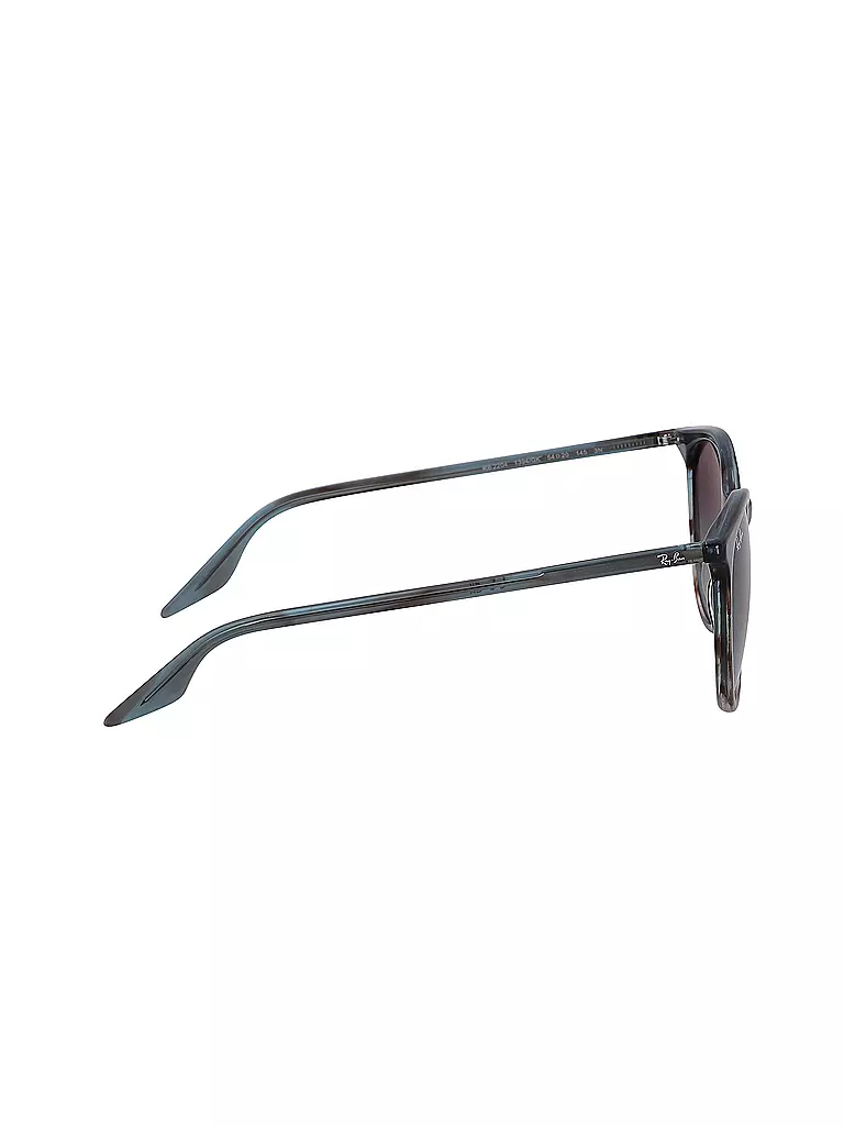 RAY BAN | Sonnenbrille 2204/54 | schwarz