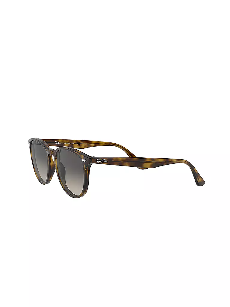 RAY BAN | Sonnenbrille 4259/51 | braun