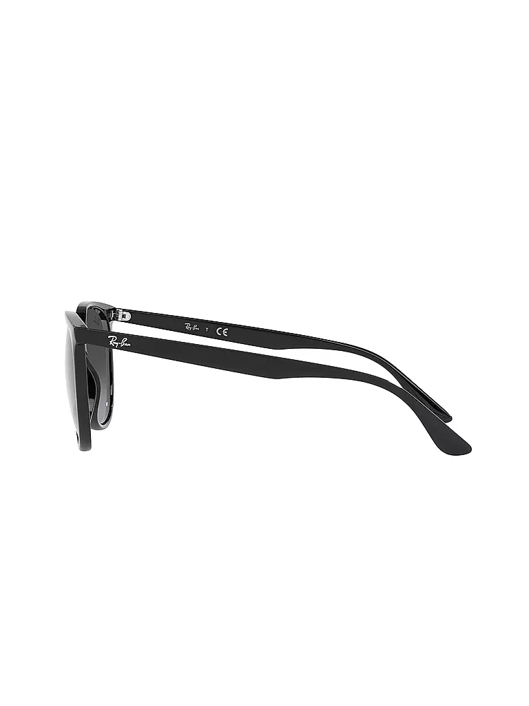 RAY BAN | Sonnenbrille 4378/54 | grau