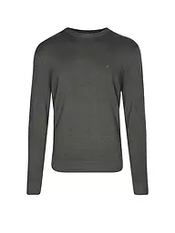 REPLAY | Pullover  | olive