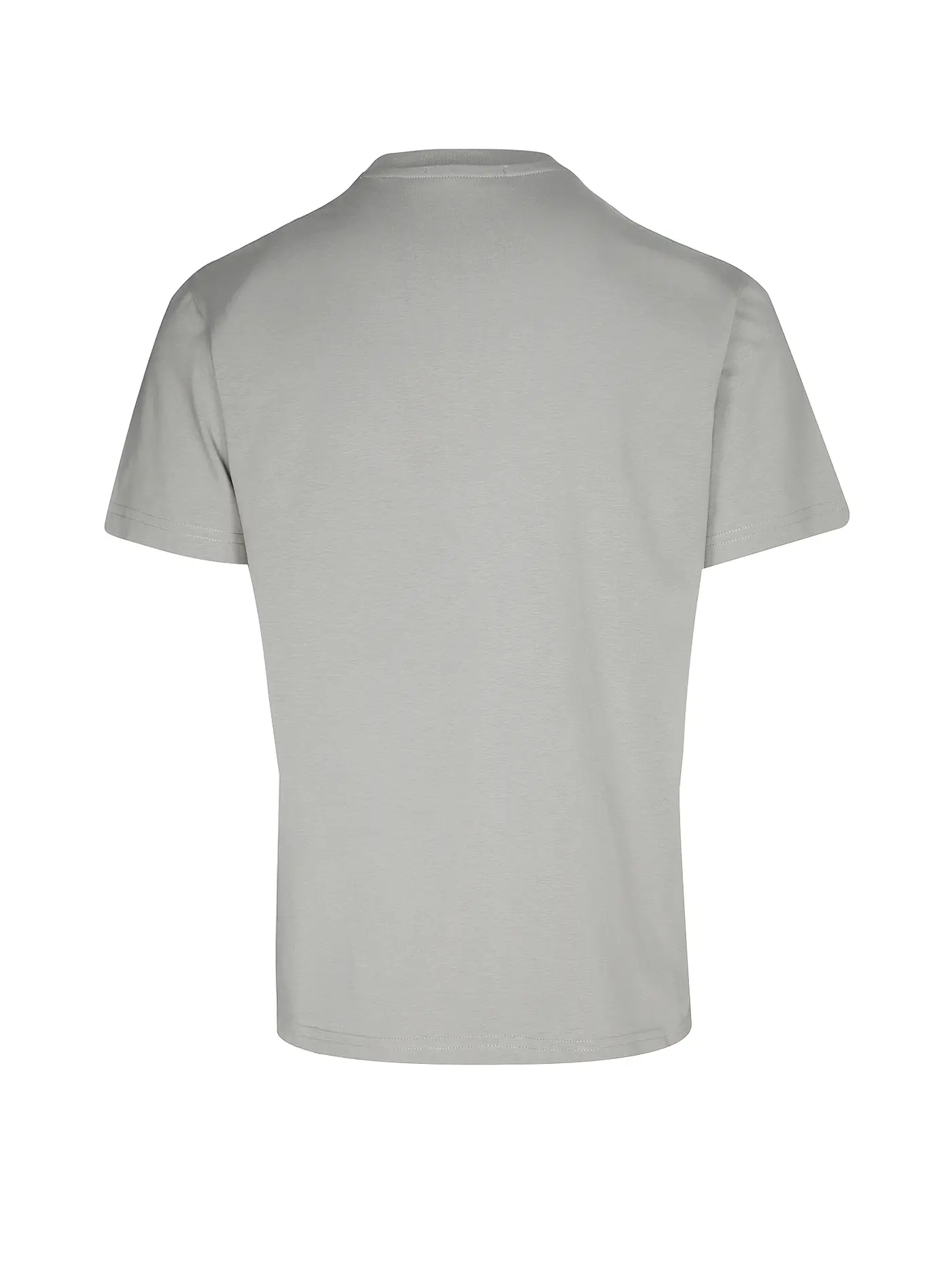 REPLAY | T-Shirt  | grau