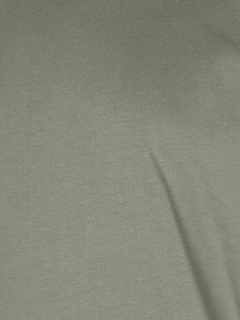 REPLAY | T-Shirt  | olive