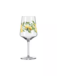 RITZENHOFF | Aperitifglas SOMMERTAU HUGO #24 Richter | bunt