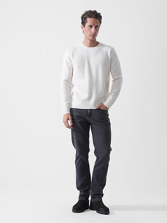 ROBERTO COLLINA | Pullover 