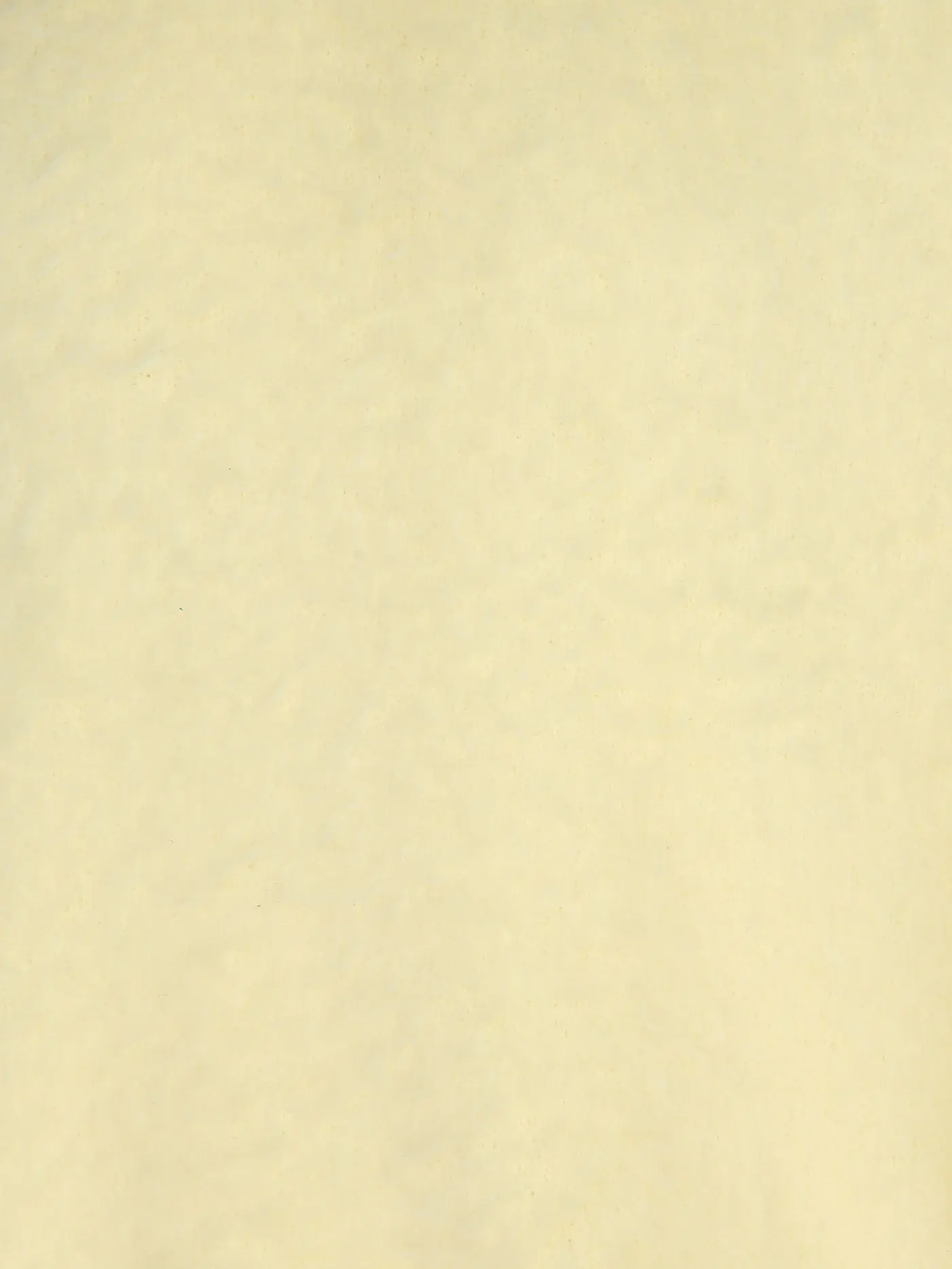 ROBERTO COLLINA | Pullover  | gelb