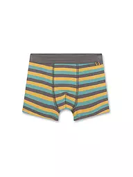 SANETTA | Jungen Pants green aqua  | grün