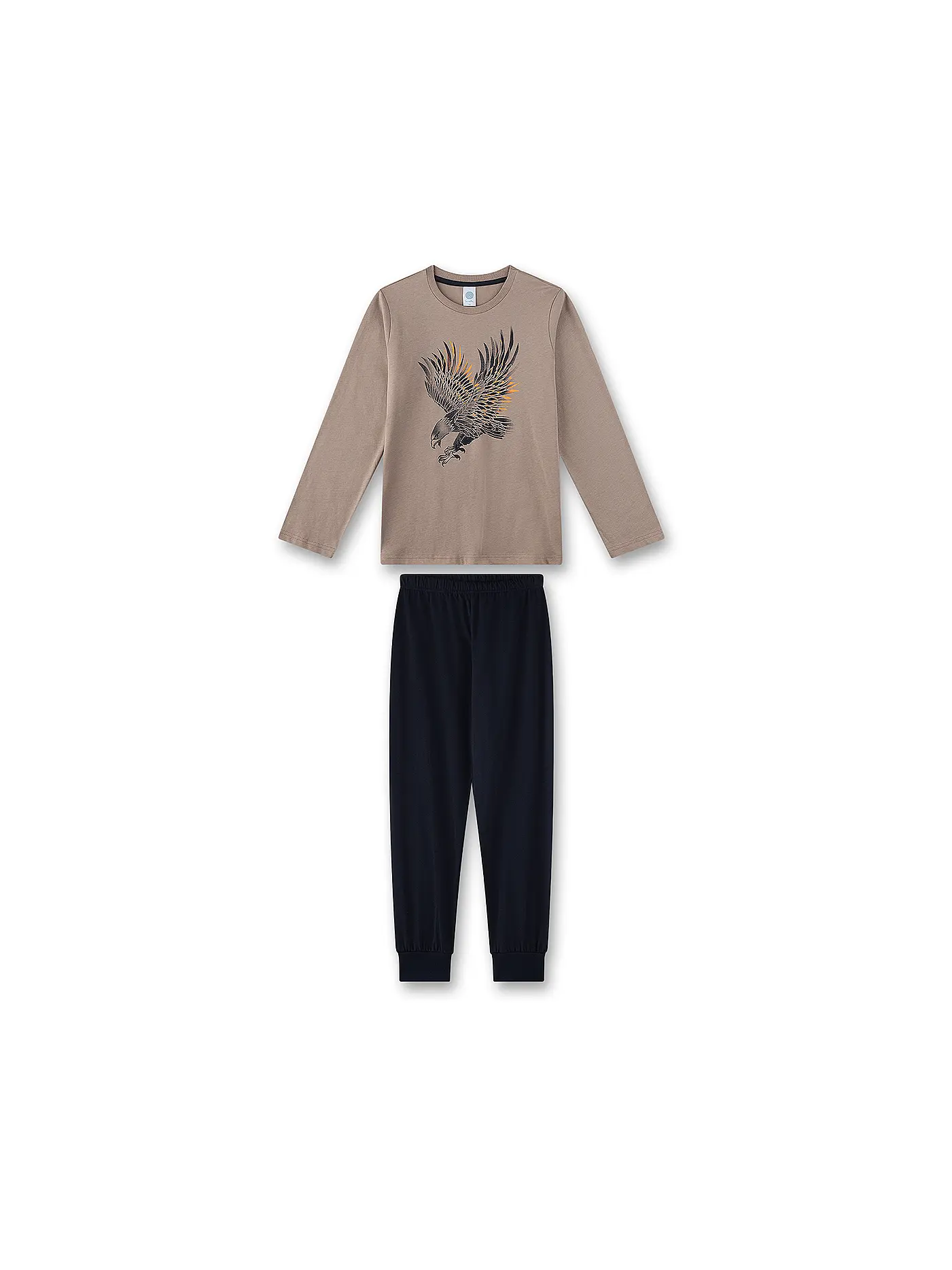 SANETTA | Jungen Pyjama | grau