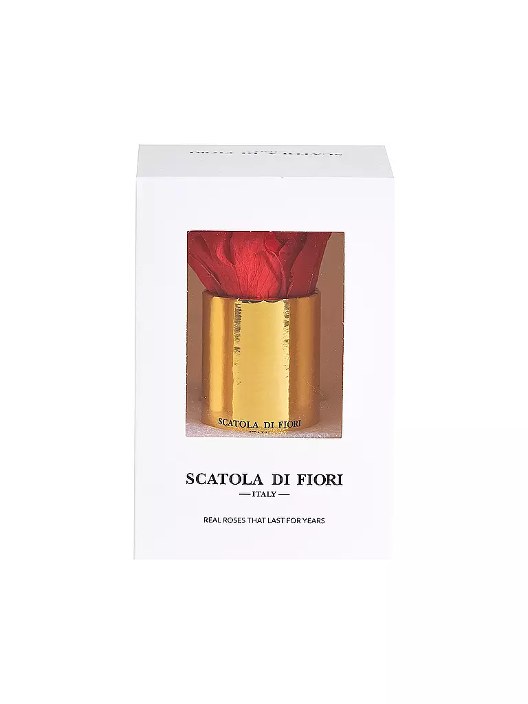 SCATOLA DI FIORI | Infinity Rose in Geschenkbox  | gold