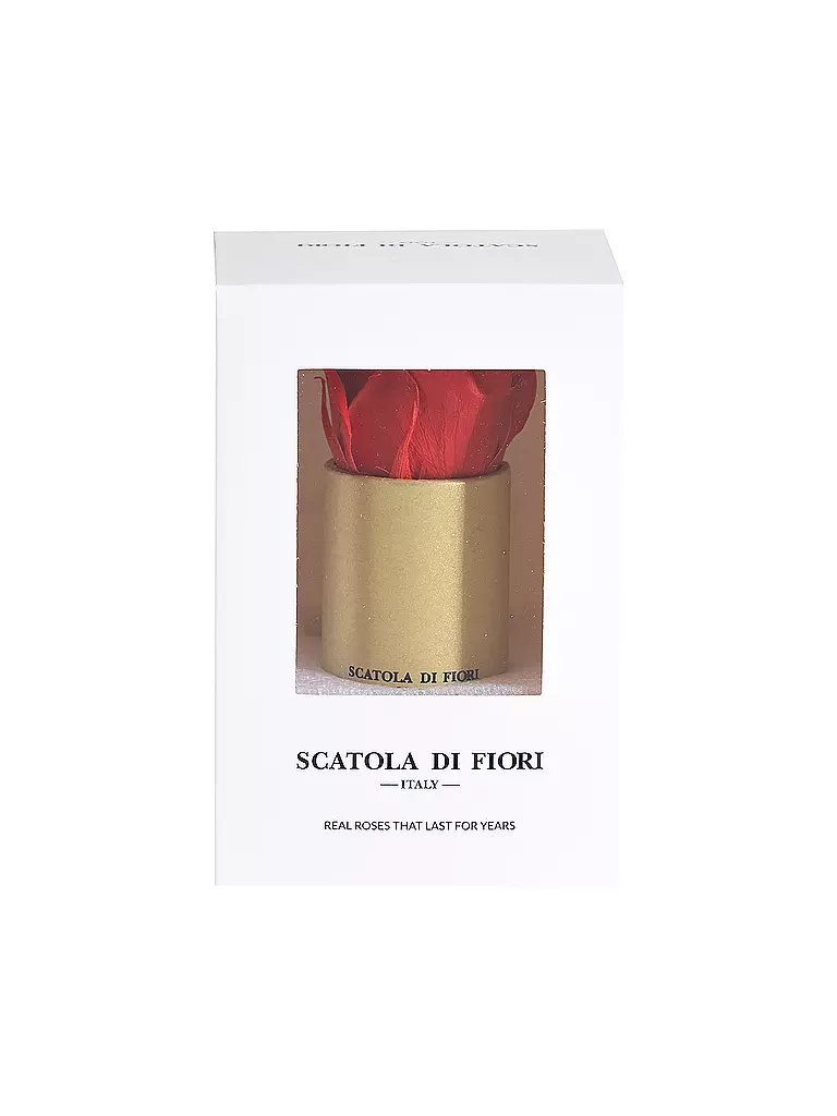 SCATOLA DI FIORI | Infinity Rose in Geschenkbox  | gold