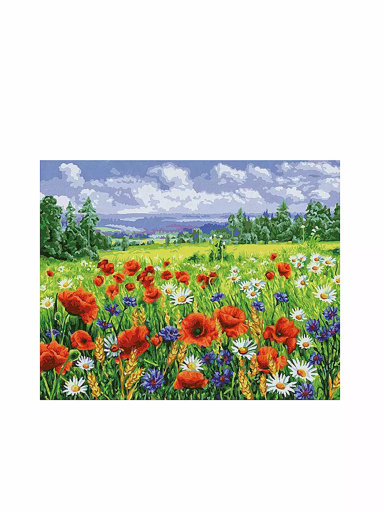 SCHIPPER | Malen nach Zahlen - Blumenwiese  | keine Farbe