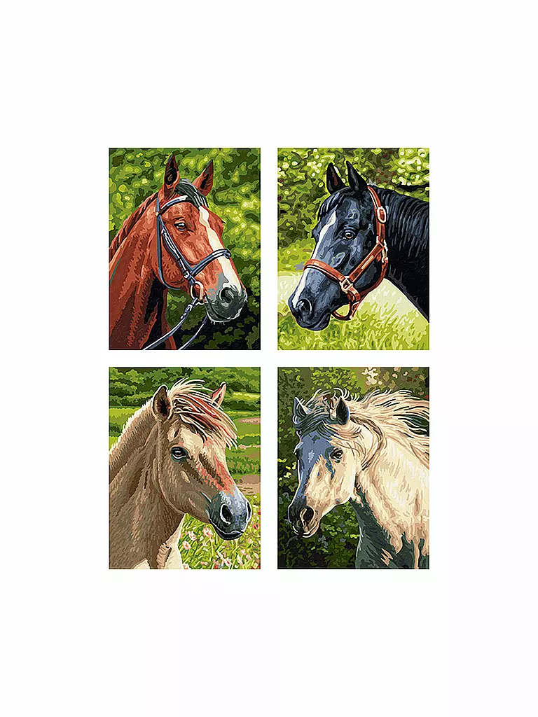 SCHIPPER | Malen nach Zahlen - Pony | keine Farbe