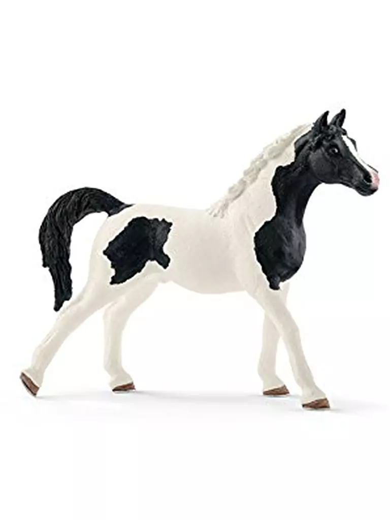SCHLEICH | Araber Pinto Hengst 13840 | transparent