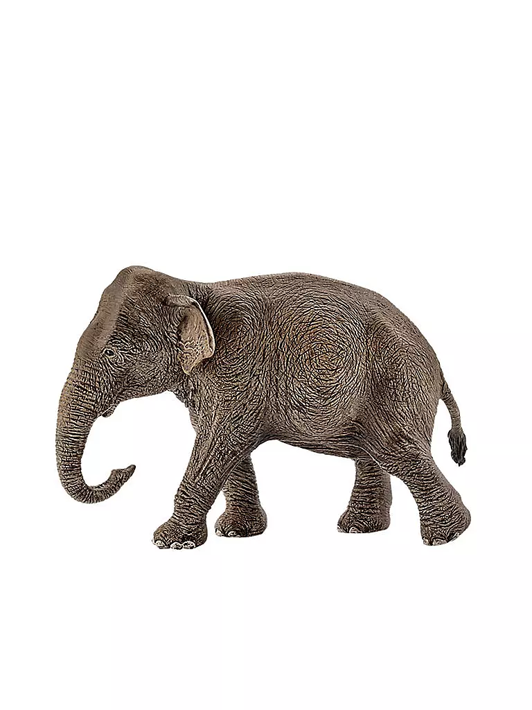 SCHLEICH | Asiatische Elefantenkuh "Wild Life" 14753 | keine Farbe