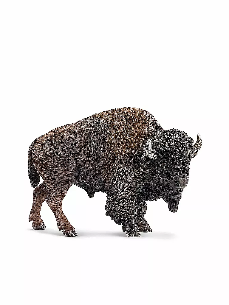 SCHLEICH | Bison "Wild Life" 14714 | transparent