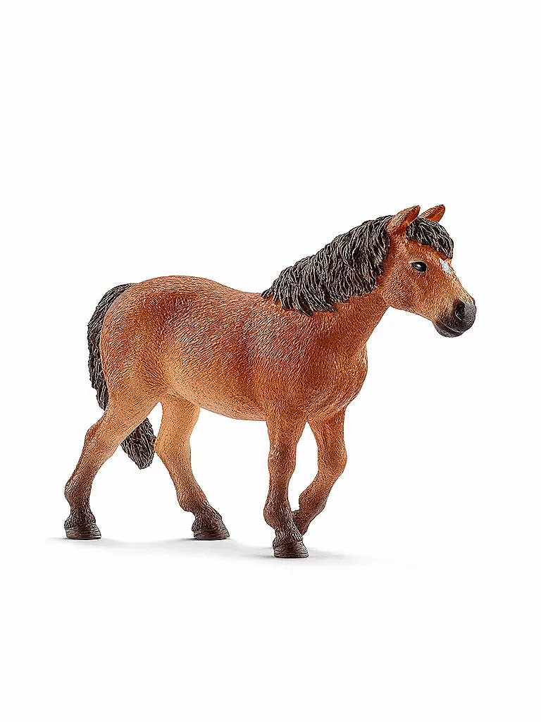 SCHLEICH | Dartmoor Pony - Stute 13873 | keine Farbe