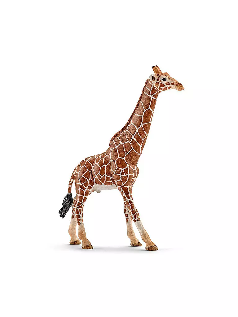 SCHLEICH | Giraffenbulle "Wild Life" 14749 | keine Farbe