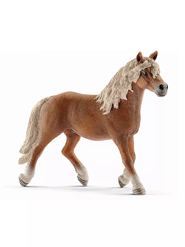 SCHLEICH | Haflinger Hengst "Horse Club" 13813 | keine Farbe