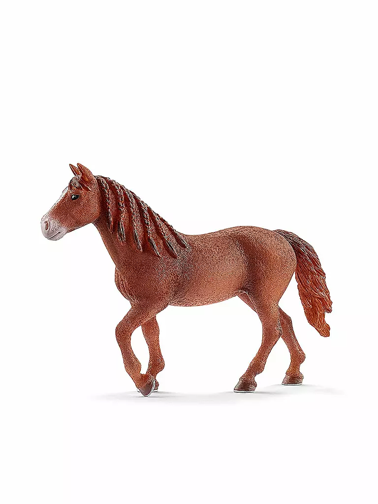 SCHLEICH | Morgan Horse Stute | keine Farbe