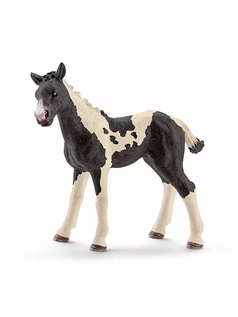 SCHLEICH | Pinto Fohlen "Farm World" 13803 | keine Farbe