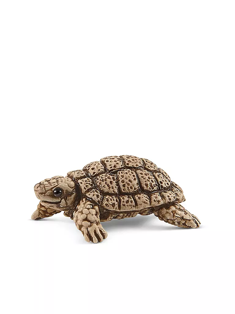 SCHLEICH | Zuhause für Schildkröten | keine Farbe