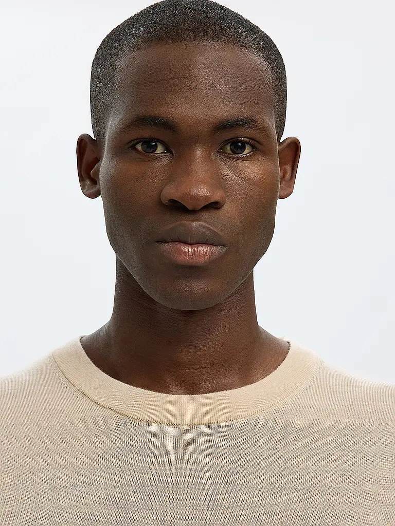 SELECTED | Pullover SLHTRAY  | Braun