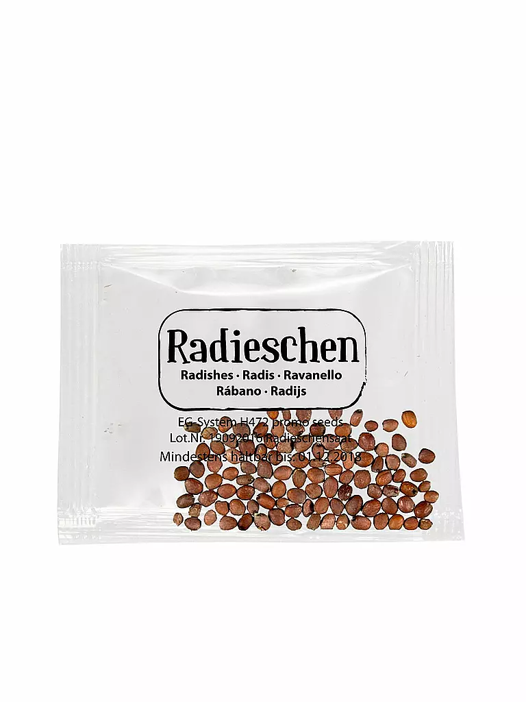 SPIEGELBURG | Mein erster Gemüsegarten (Pflanzset) "Garden Kids" | transparent