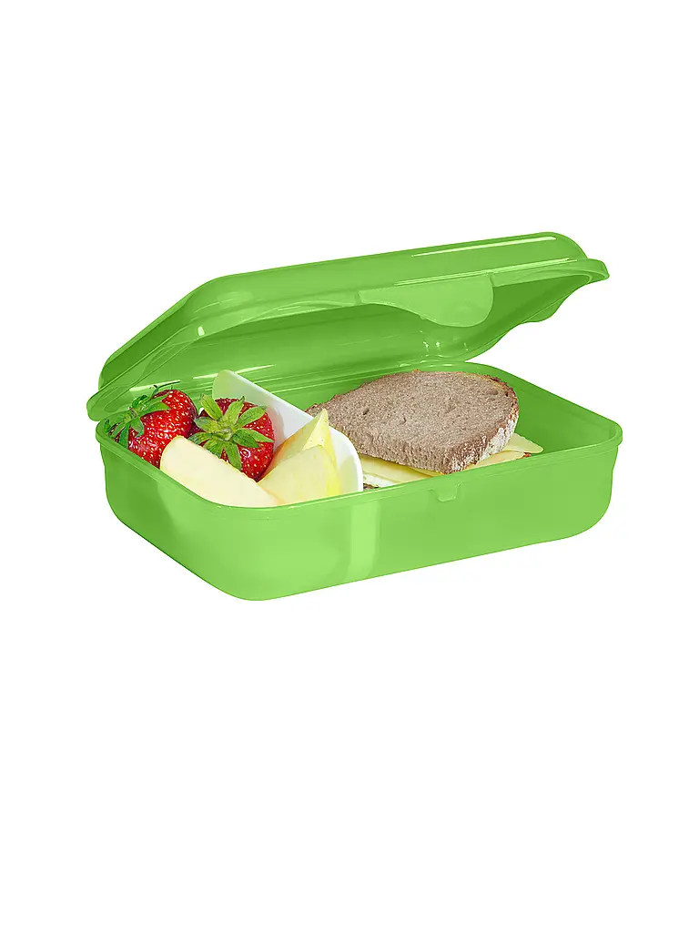 STEP BY STEP | Lunchbox Dino Targo Gruen  | Dunkelgrün