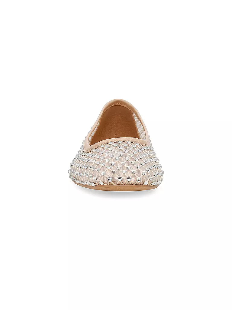 STEVE MADDEN | Ballerina AUDEN | beige