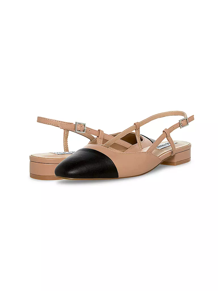 STEVE MADDEN | Sandalen BELINDA | beige