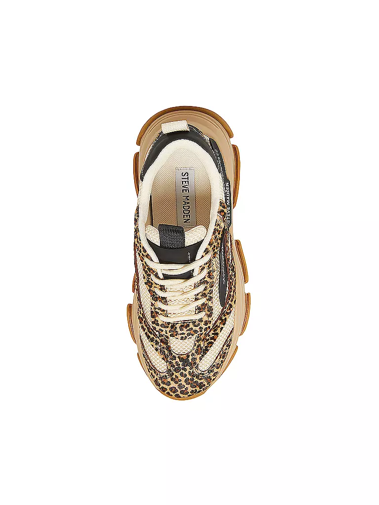 STEVE MADDEN | Sneaker POSSESSION-E | braun