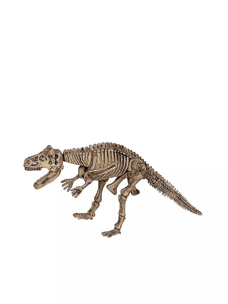 T-REX WORLD | Großes Ausgrabungsset Carnotaurus | keine Farbe