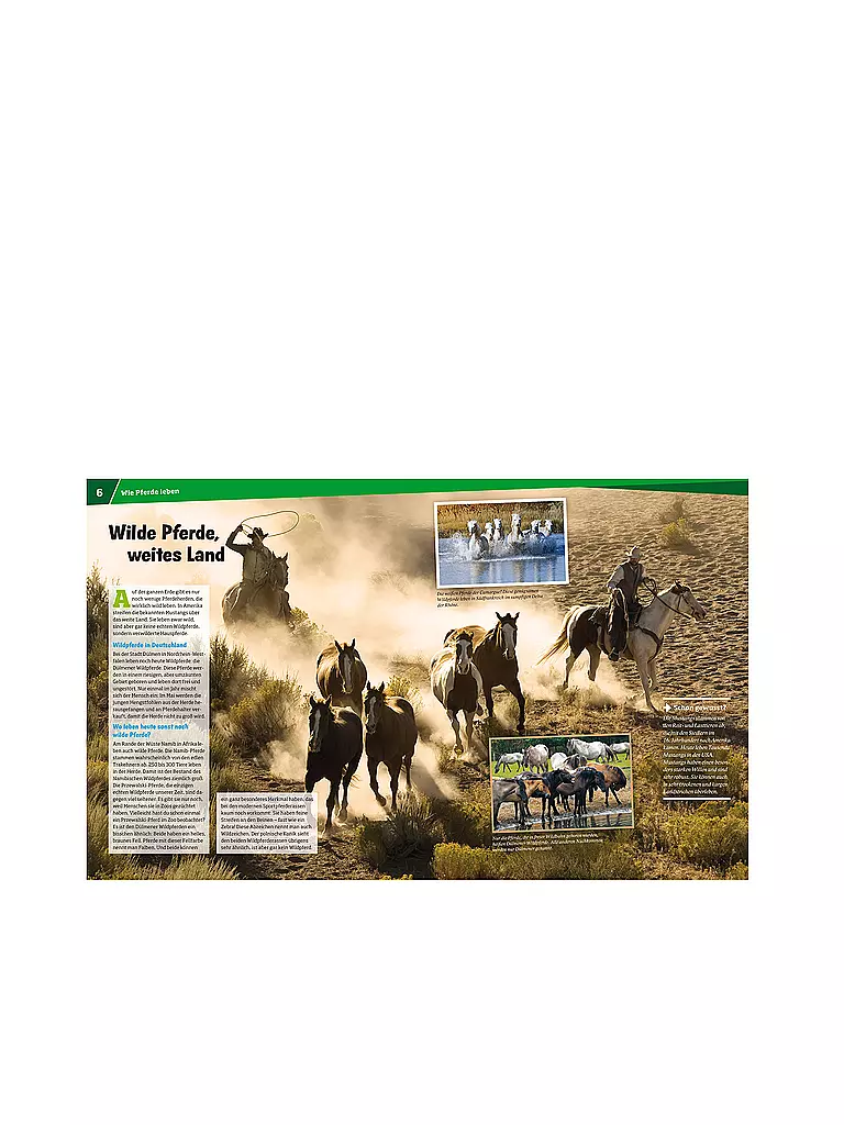 TESSLOFF VERLAG | Buch - Was ist Was - Pferde - Von frechen Fohlen und wilden Mustangs 27 | keine Farbe