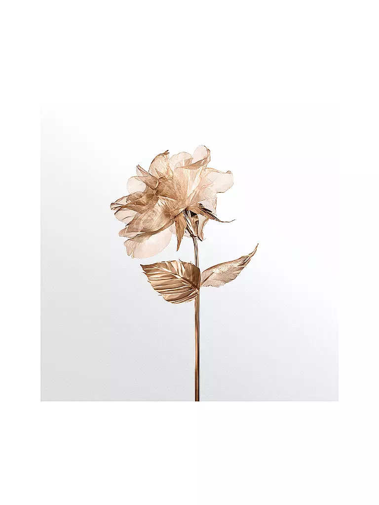 TIFFANY | Rose Gold Eau de Parfum 75ml | keine Farbe