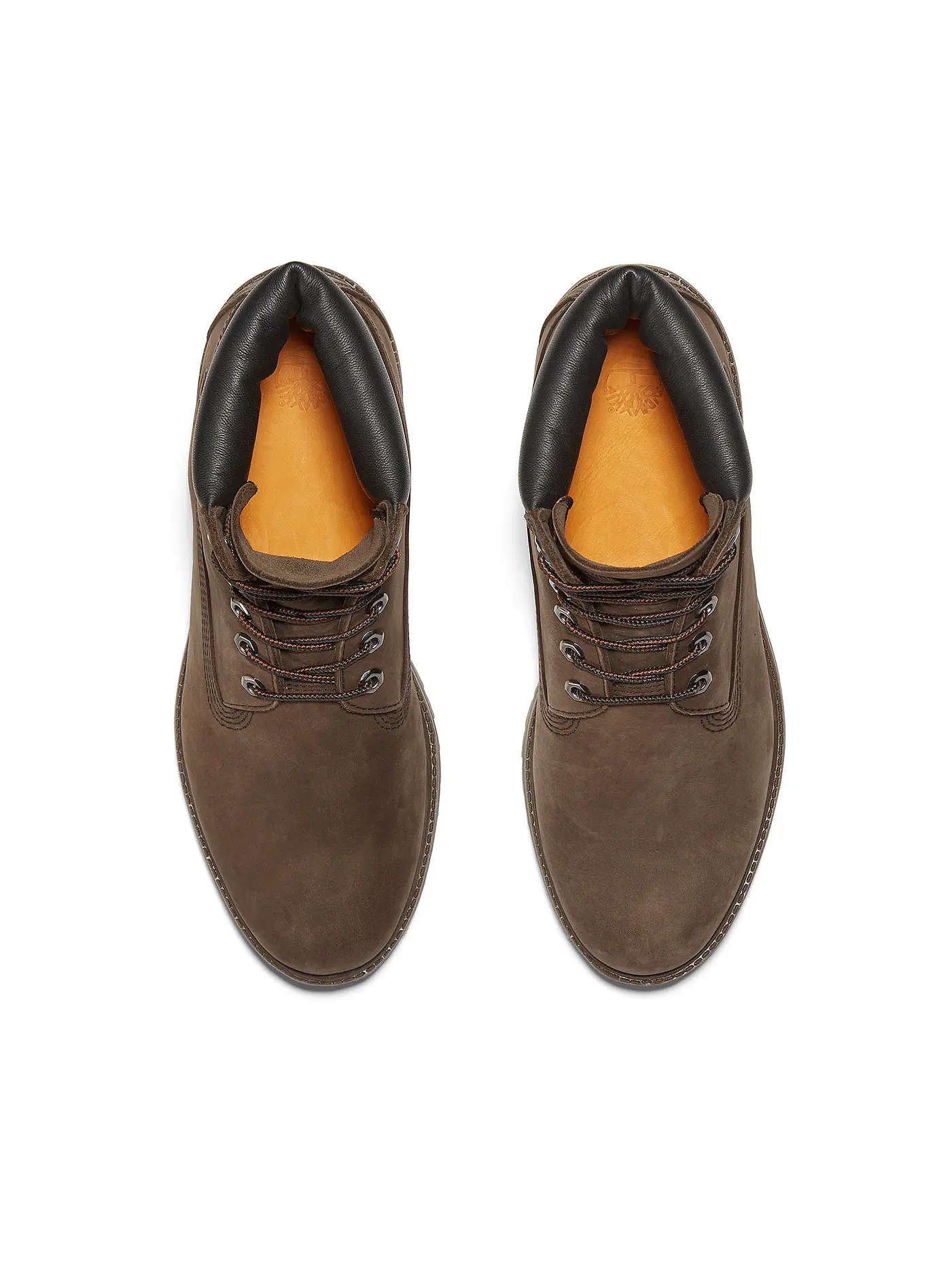 TIMBERLAND | Boots 6 INCH LACE UP WATERPROOF | braun