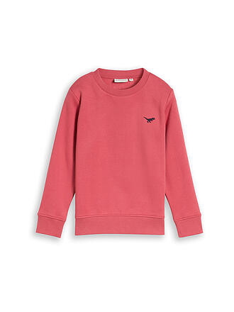 TOM TAILOR | Jungen Sweater 