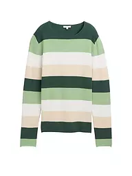 TOM TAILOR | Pullover  | grün