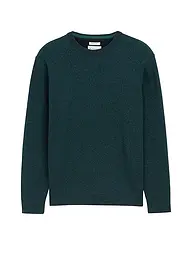TOM TAILOR | Pullover  | grün
