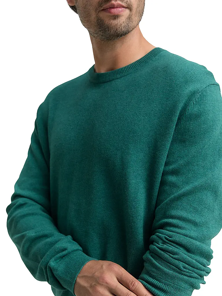 TOM TAILOR | Pullover  | grün