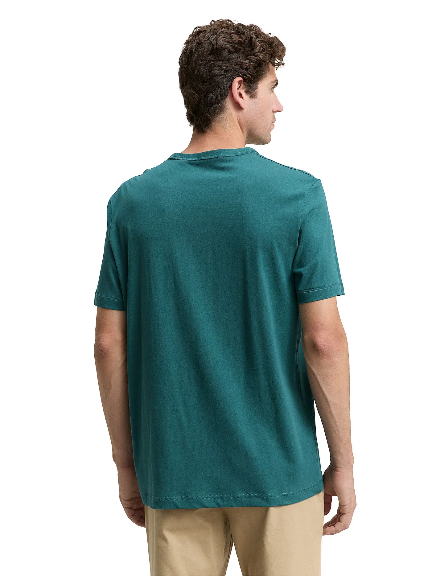 TOM TAILOR | T-Shirt  | grün