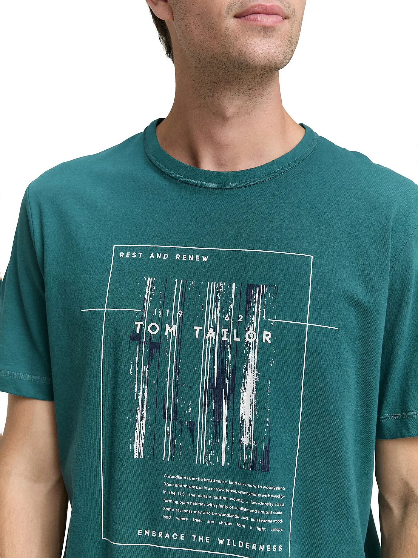 TOM TAILOR | T-Shirt  | grün