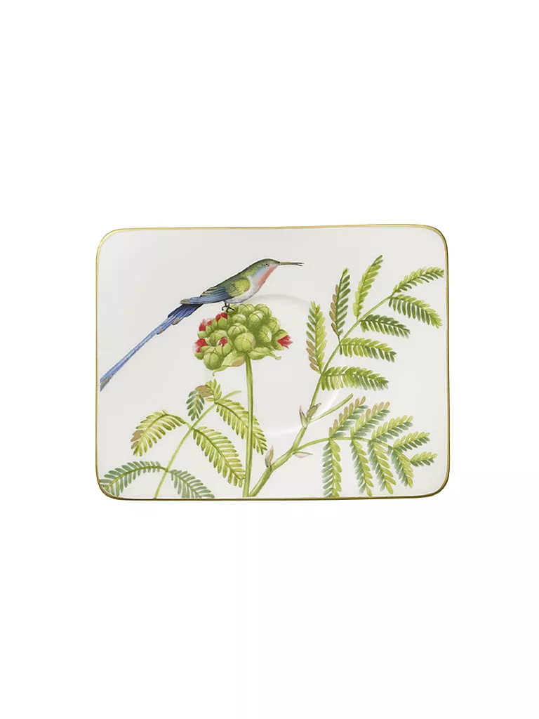 VILLEROY & BOCH SIGNATURE | Kaffee-Untertasse "Amazonia" 17x24cm | bunt